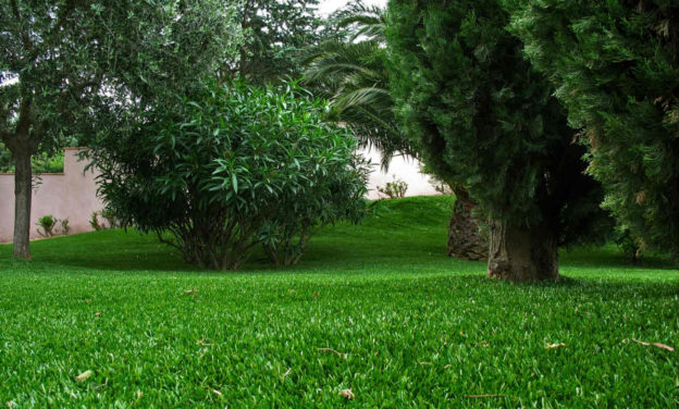 Quels sont les avantages de choisir la pelouse artificielle en tant que propriétaires ?