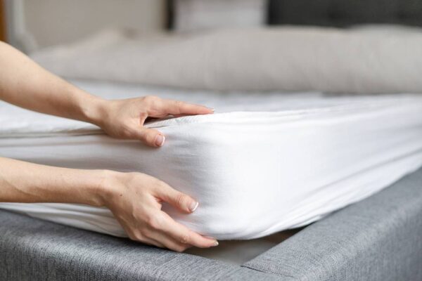 Pourquoi faut-il se fier à un expert anti-nuisible pour éliminer les punaises de lit ?